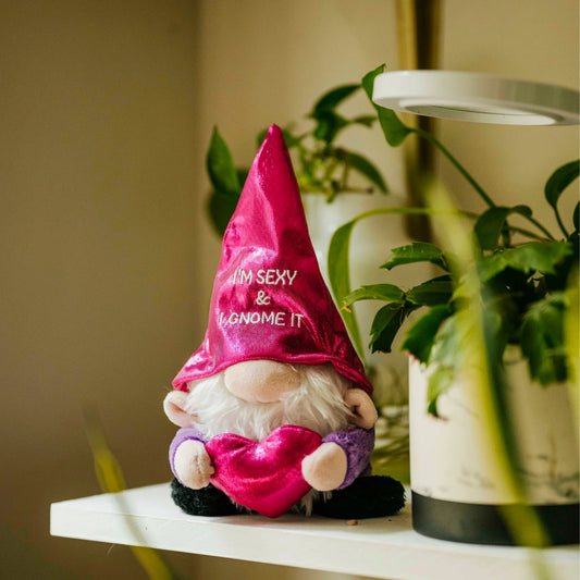 Punchkin Gnome - Sexy and I Gnome It